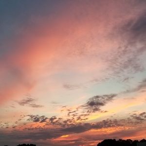 Meet your Posher, Suzy